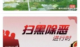 湖北新闻官方爆料视频,揭秘背后真相