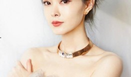 宋轶朋友圈爆料视频大全,揭秘明星私生活瞬间