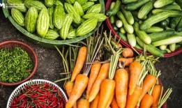 加qq群吃网红的瓜,加入QQ群，畅享独家瓜料